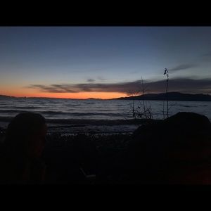 Meet your Posher, Jessie